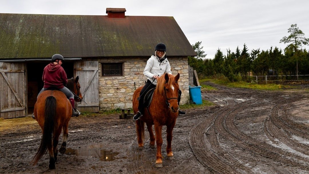 Två ryttare till häst framför ett äldre stall på lerig gårdsplan