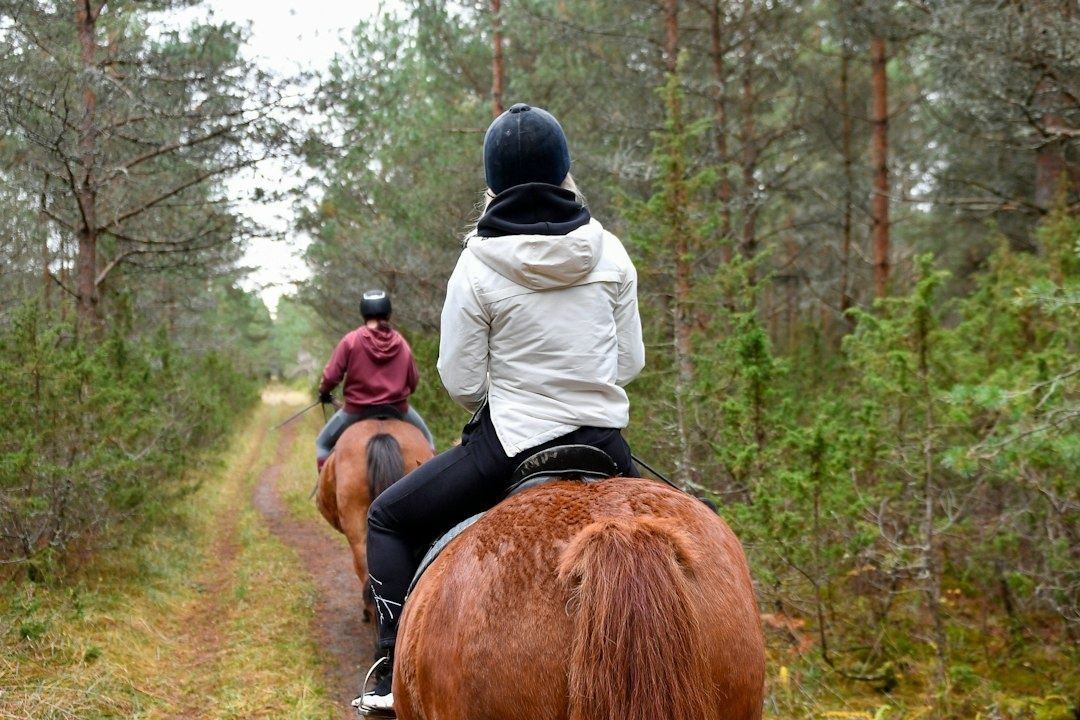 Två ryttare rider varsamt längs en smal stig i barrskog